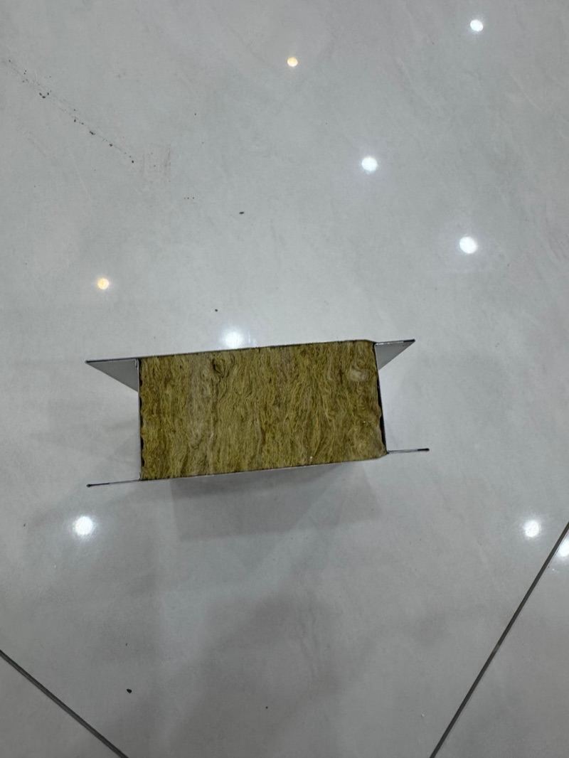 Rock Wool Cleanroom Panel